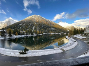 Superbe appartement avec vue Lac